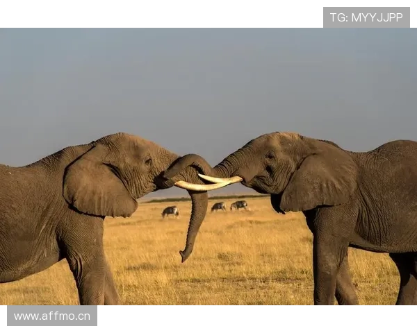 奥斯卡·皮斯托瑞斯的生活照，看着挺平常谁知道背后多疯狂的故事…